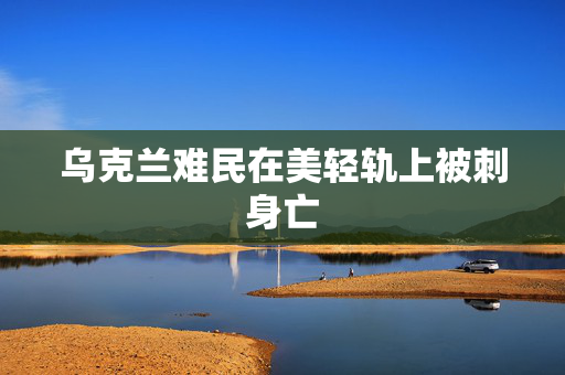乌克兰难民在美轻轨上被刺身亡