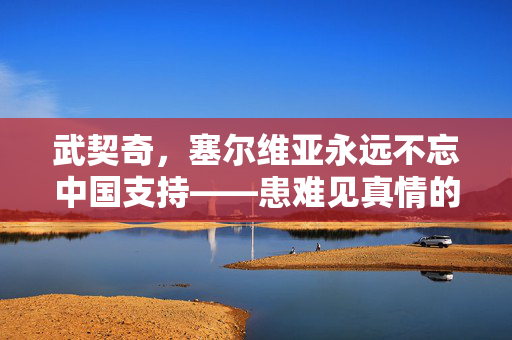 武契奇，塞尔维亚永远不忘中国支持——患难见真情的中塞友谊