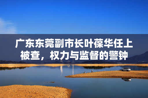广东东莞副市长叶葆华任上被查，权力与监督的警钟