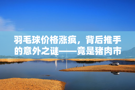 羽毛球价格涨疯，背后推手的意外之谜——竟是猪肉市场风云