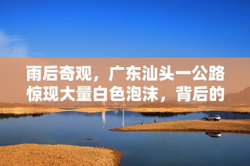 雨后奇观，广东汕头一公路惊现大量白色泡沫，背后的环境与科学之谜