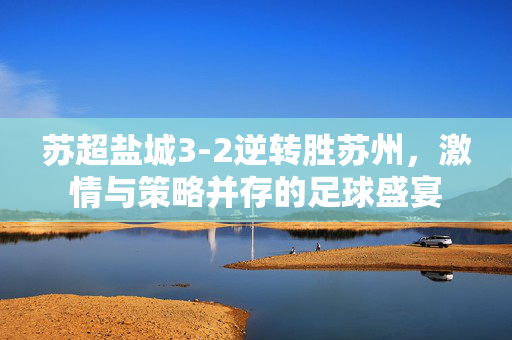 苏超盐城3-2逆转胜苏州，激情与策略并存的足球盛宴