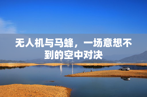 无人机与马蜂，一场意想不到的空中对决