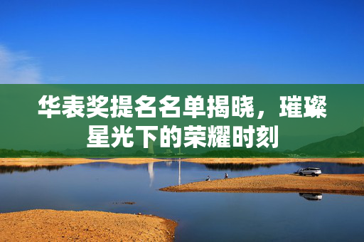 华表奖提名名单揭晓，璀璨星光下的荣耀时刻