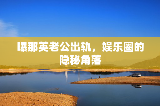 曝那英老公出轨，娱乐圈的隐秘角落