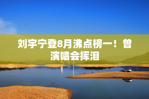 刘宇宁登8月沸点榜一！曾演唱会挥泪