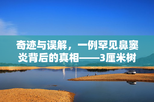奇迹与误解，一例罕见鼻窦炎背后的真相——3厘米树枝藏匿鼻中