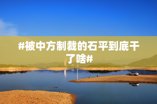 #被中方制裁的石平到底干了啥#