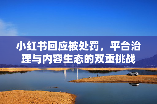 小红书回应被处罚，平台治理与内容生态的双重挑战