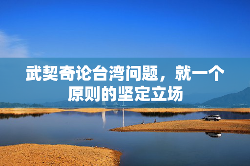 武契奇论台湾问题，就一个原则的坚定立场