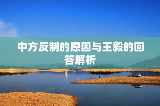 中方反制的原因与王毅的回答解析