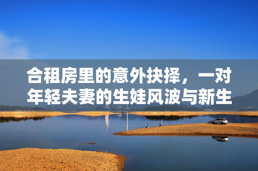 合租房里的意外抉择，一对年轻夫妻的生娃风波与新生活的启航