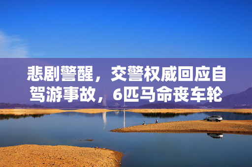 悲剧警醒，交警权威回应自驾游事故，6匹马命丧车轮之下