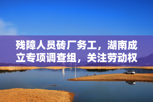 残障人员砖厂务工，湖南成立专项调查组，关注劳动权益与安全