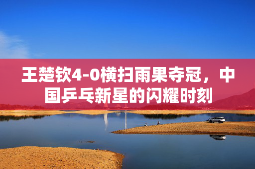 王楚钦4-0横扫雨果夺冠，中国乒乓新星的闪耀时刻