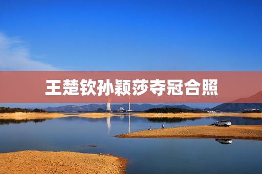 王楚钦孙颖莎夺冠合照