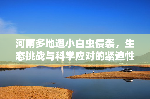 河南多地遭小白虫侵袭，生态挑战与科学应对的紧迫性