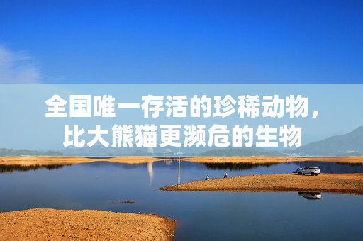 全国唯一存活的珍稀动物，比大熊猫更濒危的生物