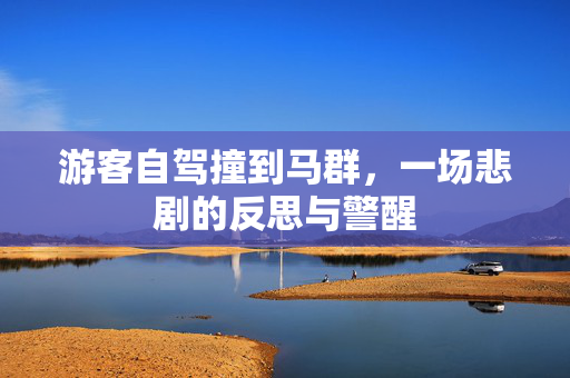 游客自驾撞到马群，一场悲剧的反思与警醒