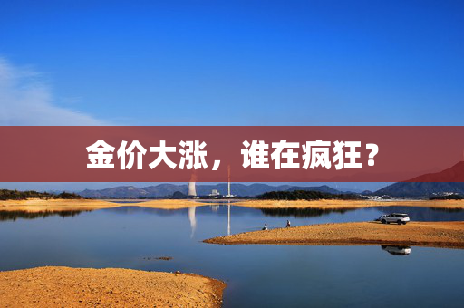 金价大涨，谁在疯狂？