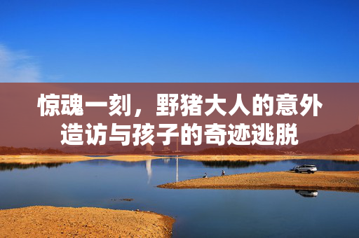 惊魂一刻，野猪大人的意外造访与孩子的奇迹逃脱