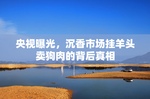 央视曝光，沉香市场挂羊头卖狗肉的背后真相
