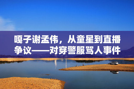 嘎子谢孟伟，从童星到直播争议——对穿警服骂人事件的反思与回应