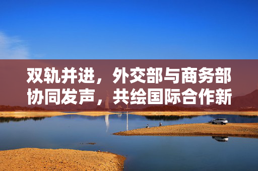 双轨并进，外交部与商务部协同发声，共绘国际合作新蓝图