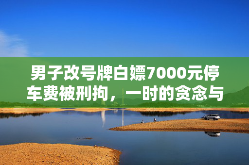 男子改号牌白嫖7000元停车费被刑拘，一时的贪念与长远的代价