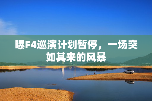 曝F4巡演计划暂停，一场突如其来的风暴
