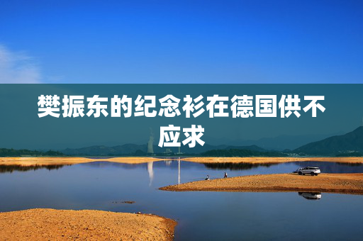 樊振东的纪念衫在德国供不应求