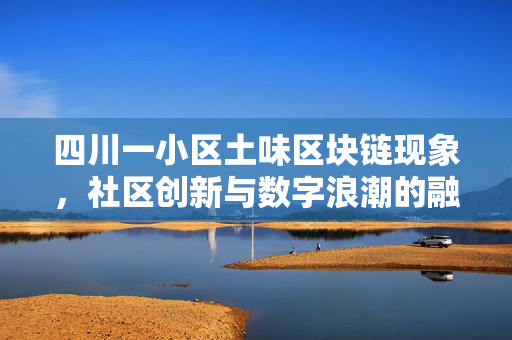 四川一小区土味区块链现象，社区创新与数字浪潮的融合