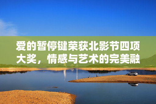 爱的暂停键荣获北影节四项大奖，情感与艺术的完美融合