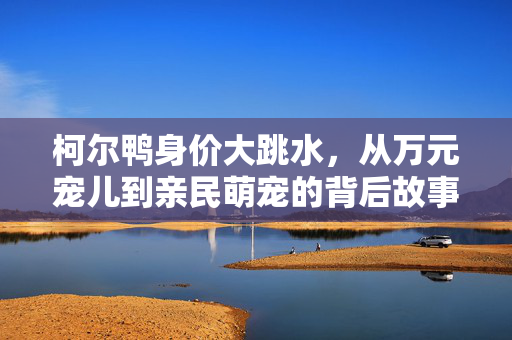 柯尔鸭身价大跳水，从万元宠儿到亲民萌宠的背后故事