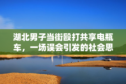 湖北男子当街殴打共享电瓶车，一场误会引发的社会思考