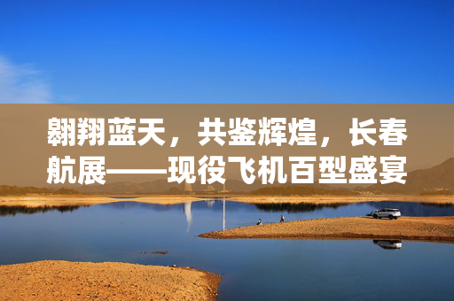 翱翔蓝天，共鉴辉煌，长春航展——现役飞机百型盛宴的震撼与展望