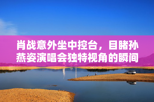 肖战意外坐中控台，目睹孙燕姿演唱会独特视角的瞬间