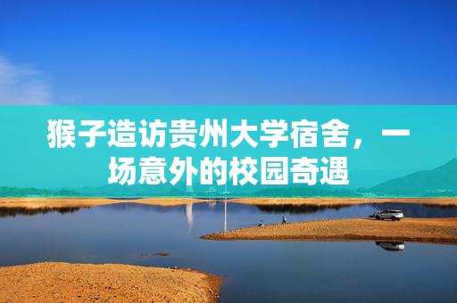猴子造访贵州大学宿舍，一场意外的校园奇遇
