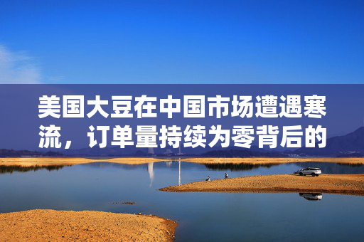美国大豆在中国市场遭遇寒流，订单量持续为零背后的深度剖析