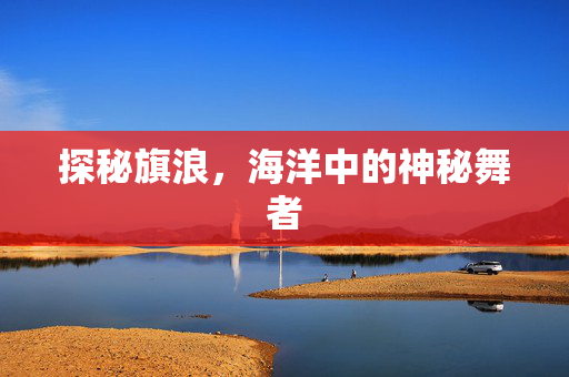 探秘旗浪，海洋中的神秘舞者