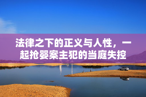 法律之下的正义与人性，一起抢婴案主犯的当庭失控