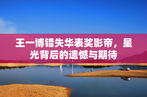 王一博错失华表奖影帝，星光背后的遗憾与期待