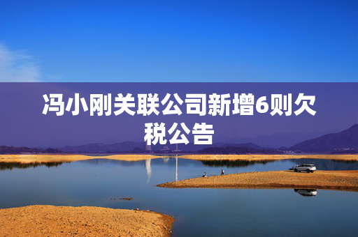 冯小刚关联公司新增6则欠税公告