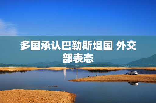 多国承认巴勒斯坦国 外交部表态