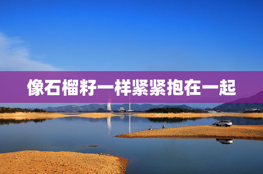 像石榴籽一样紧紧抱在一起