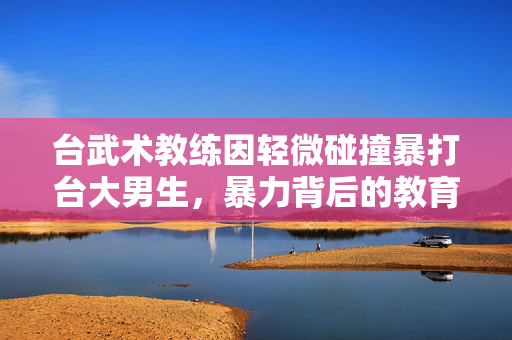 台武术教练因轻微碰撞暴打台大男生，暴力背后的教育与道德反思