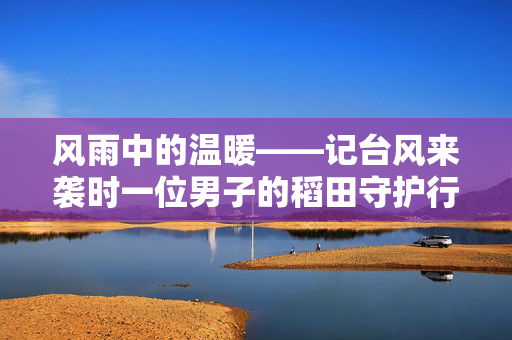 风雨中的温暖——记台风来袭时一位男子的稻田守护行动