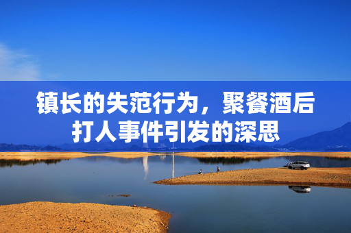 镇长的失范行为，聚餐酒后打人事件引发的深思