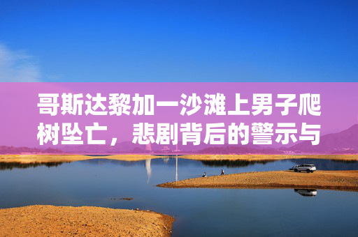 哥斯达黎加一沙滩上男子爬树坠亡，悲剧背后的警示与反思