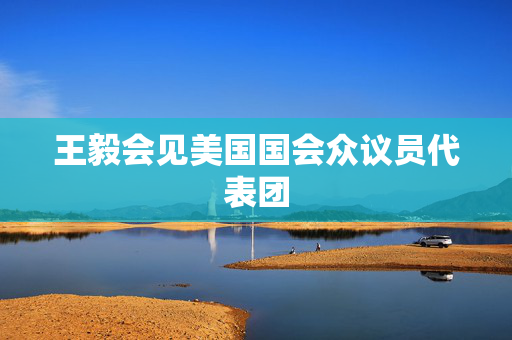 王毅会见美国国会众议员代表团